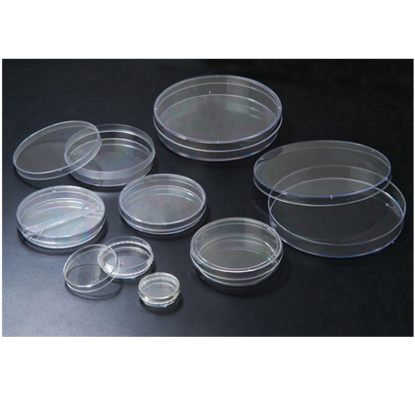 Petri Dish צלחות פטרי
